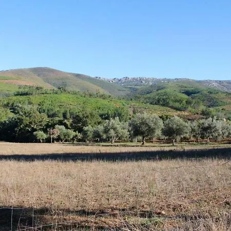 Welcoming House In - 50 M² With Enclosed Garden * Souto da Casa