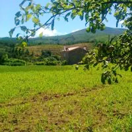Welcoming House In - 50 M² With Enclosed Garden Σπίτι διακοπών Souto da Casa
